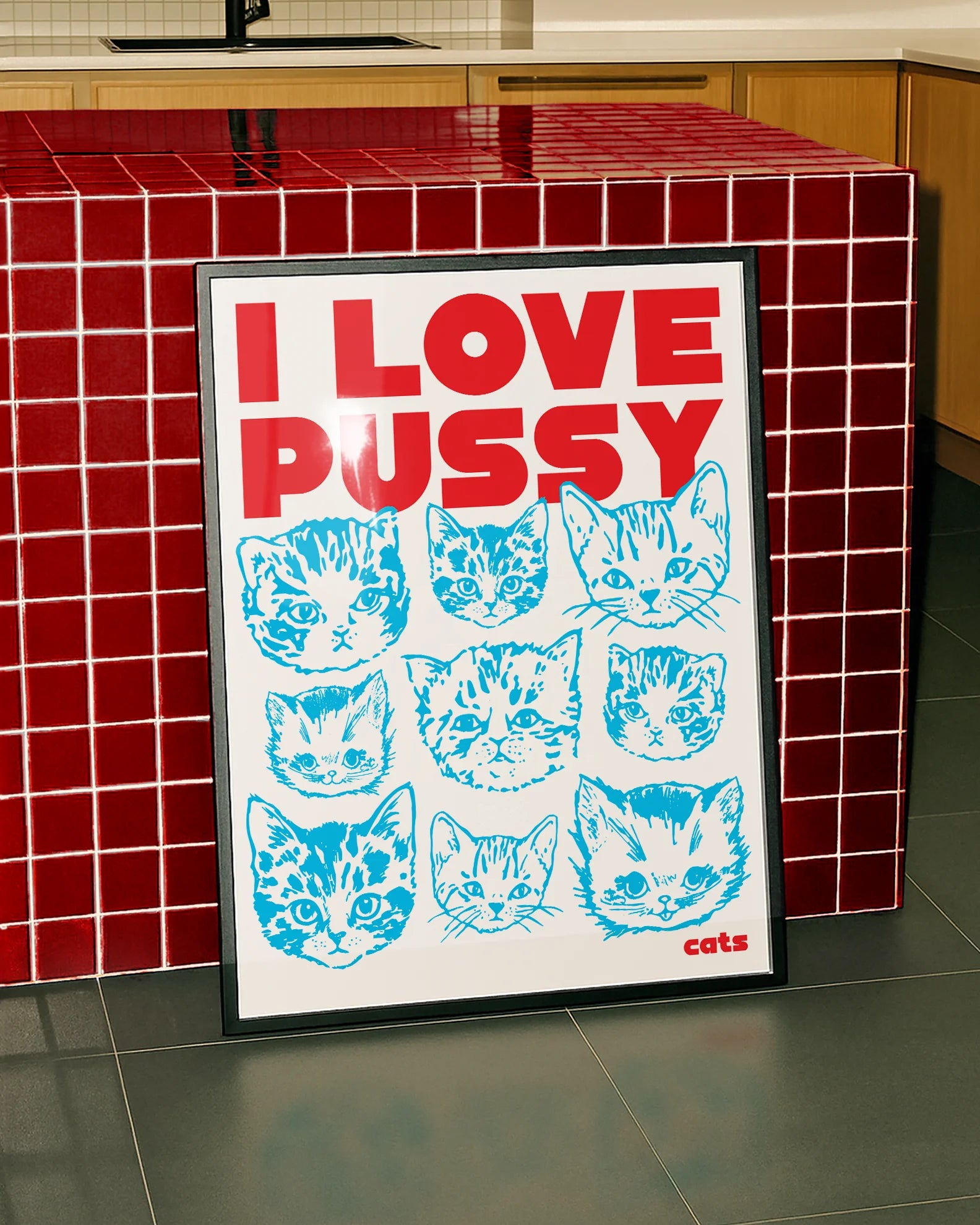 A framed poster with nine catheads and the text 'I LOVE PUSSY....cats'.