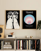 Two framed, abstract posters with transflag colours.