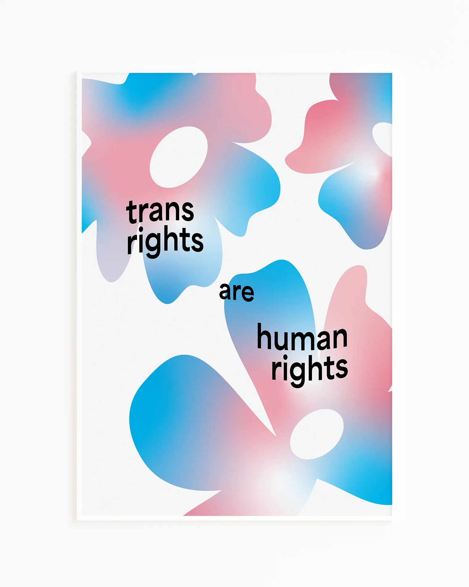 Framed print with the text 'trans rights are human rights' with flowers in trans colours.