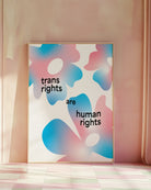 Framed print with the text 'trans rights are human rights' with flowers in trans colours.
